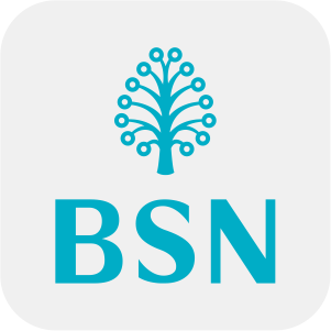 BSN Bank